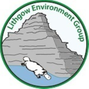 Lithgow Environment Group Inc