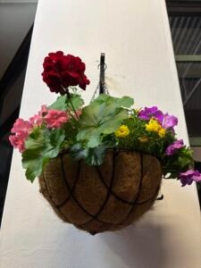 Main Street Gardening Group Lithgow