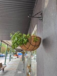 Main Street Gardening Group Lithgow