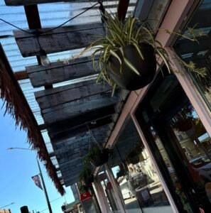 Main Street Gardening Group Lithgow