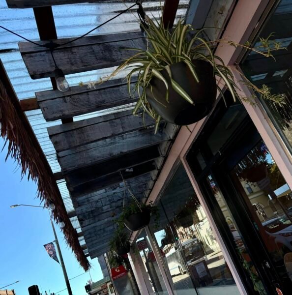 Main Street Gardening Group Lithgow