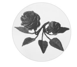 Lithgow District Garden Club